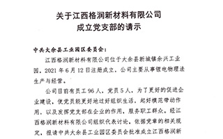 关于江西格润新材料有限公司成立党支部的请示